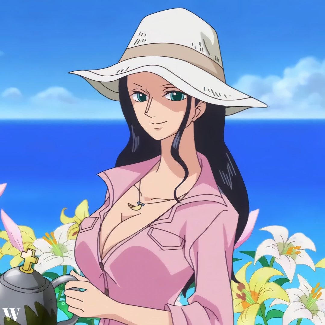 Nico Robin in Bleach Explained She Is from One Piece